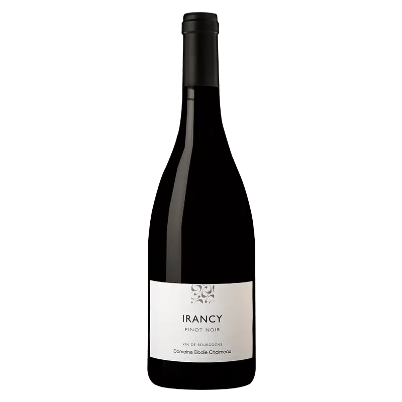Bouteille_Irancy_carre